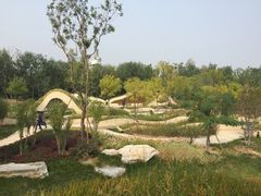 -武清南湖绿博园