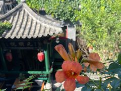 -火火咖啡&茶空间