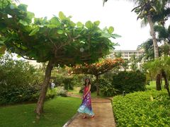 -三亚亚龙湾天域度假酒店