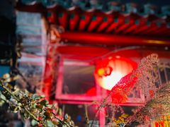 -三里河公园