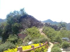 -黑河国家森林公园