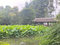 -成都杜甫草堂博物馆