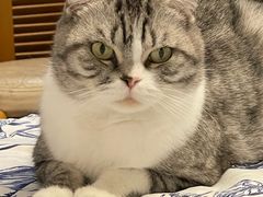 -美联众合动物医院·24h转诊中心