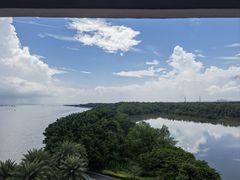 -大湾区中央湿地公园