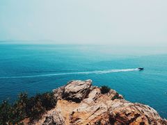 -杨梅坑