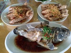 -鸿港海鲜批发市场