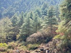 -苍山感通索道