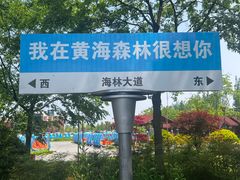 -黄海国家森林公园