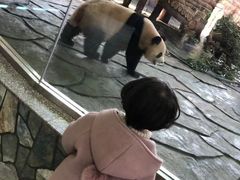 -泉州海丝野生动物世界