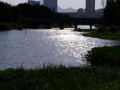 -三垟湿地