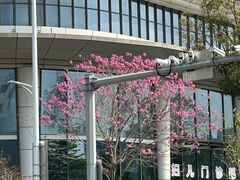 -佛山复星禅诚医院