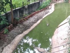 -清迈夜间动物园