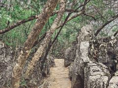 -普者黑风景区-青龙山