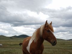 -塞罕坝国家级自然保护区
