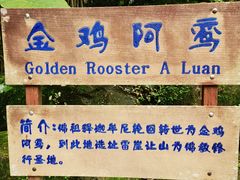 -云南勐巴娜西珍奇园