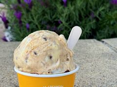 -Patagonia Chocolates(皇后镇店)