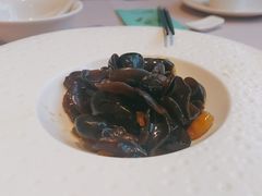 秋葵拌木耳-尚一汤·粤菜海鲜(环球港店)