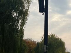-东湖落雁景区