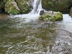 -龙苍沟森林公园