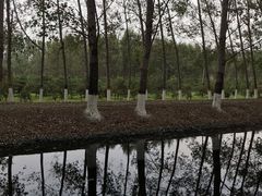 -东郊湿地公园
