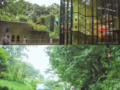 -三鹰之森吉卜力美术馆