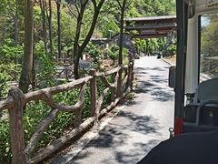 -高荡千年布依古寨旅游景区