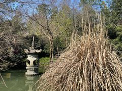 -慧因高丽寺