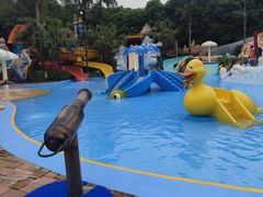 -重庆海昌加勒比海水世界