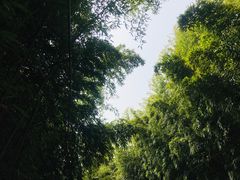 -荣德灶台鱼(圣泉寺店)