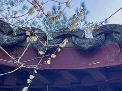 -杭州植物园