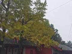 -金堂县云顶石城风景区