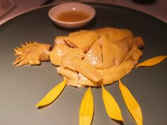 白切葵花鸡-陶陶居·雅园(凯华国际店)