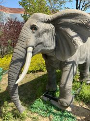 -萌宠亲子动物乐园(槐房万达店)