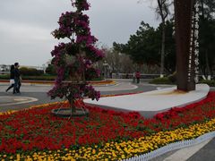 -宝安西湾红树林湿地公园