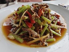 -樱㳊音乐餐酒吧