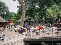 -晋祠公园