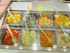 -Salud撒露欧洲冻酸奶(798艺术区店)