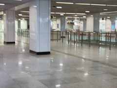 -杨高南路(地铁站)