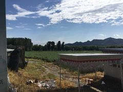 -北京东方普罗旺斯薰衣草庄园