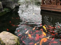 -汤山翠谷生态餐厅