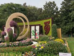 -上海共青森林公园