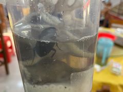 -十四涌水产中心