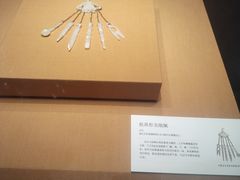 -青岛市博物馆