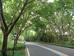 -同里国家湿地公园