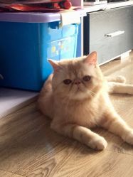 -ASG Hair Salon烫染·接发