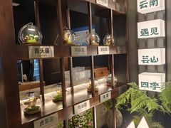 -芸山季·云南山珍菌火锅(人民广场来福士店)