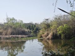 -白鹭湾湿地公园