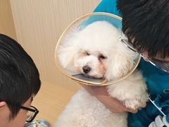 -美迦爱-牙专科·兔科·骨科诊疗中心(北苑店)