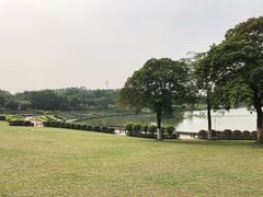 -东莞植物园