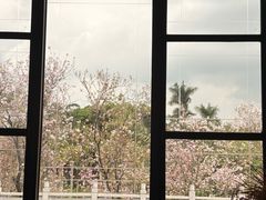 -华农酸奶文化馆
